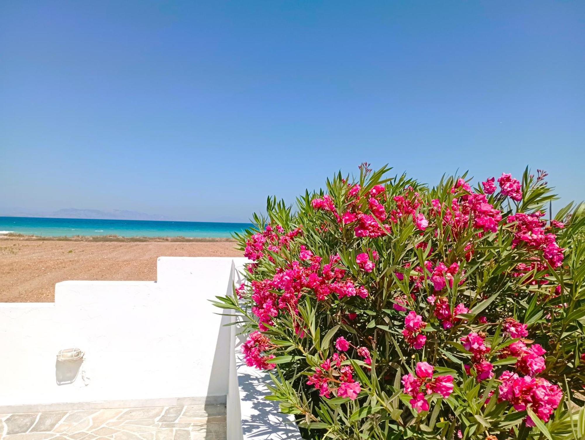 Nautilus Beach House Paradisi  Exterior photo